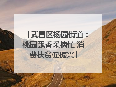 武昌区杨园街道：桃园飘香采摘忙 消费扶贫促振兴